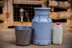 tej, tejes, egészség